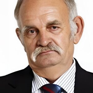 تصویر هنرمند Ali Demirel