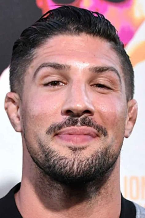 تصویر هنرمند Brendan Schaub