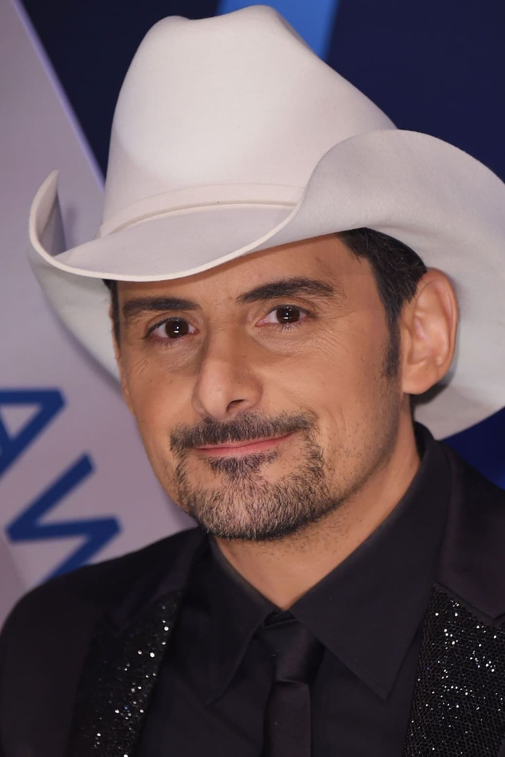 تصویر هنرمند Brad Paisley