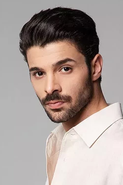 تصویر هنرمند Halit Özgür Sarı
