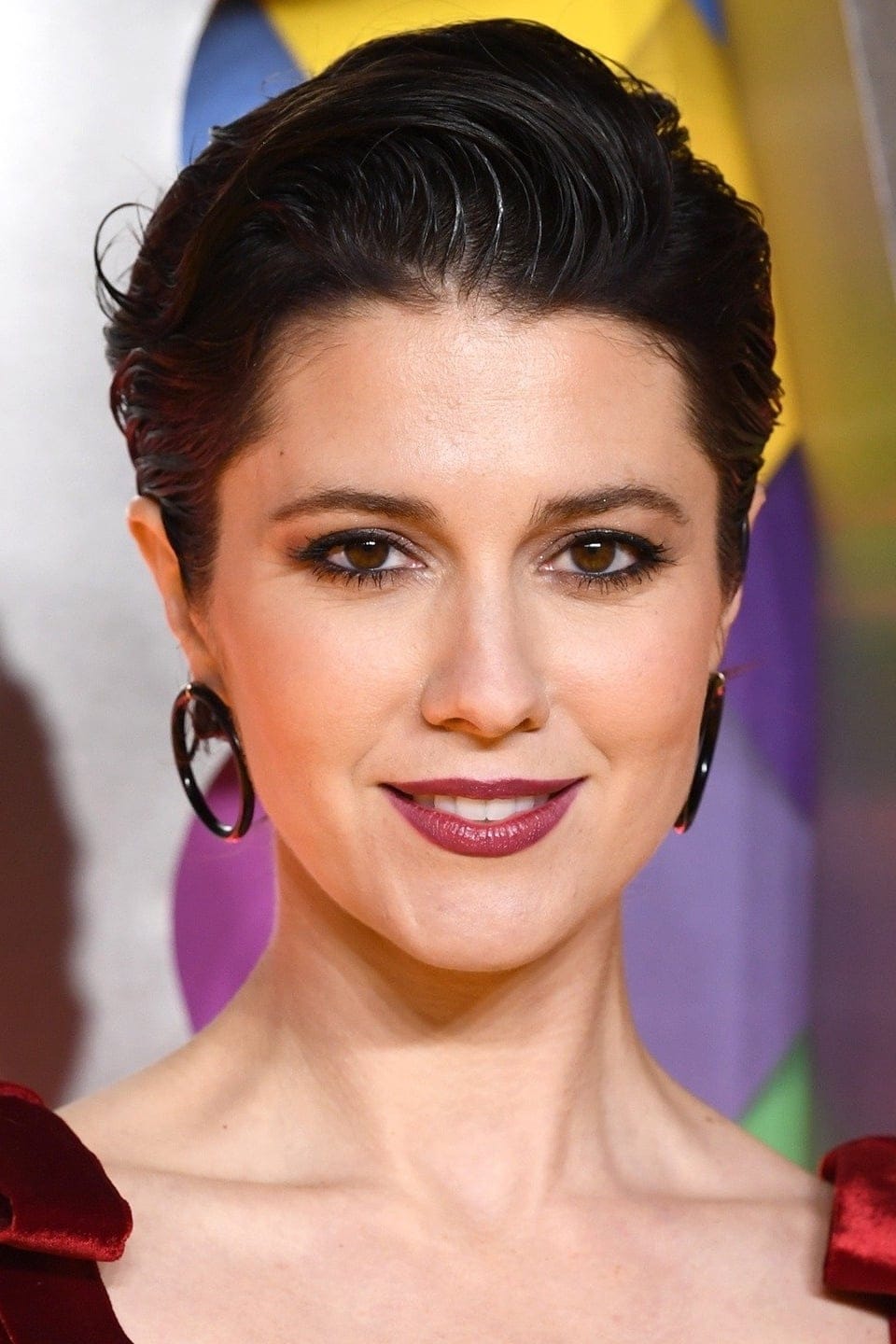 تصویر هنرمند Mary Elizabeth Winstead