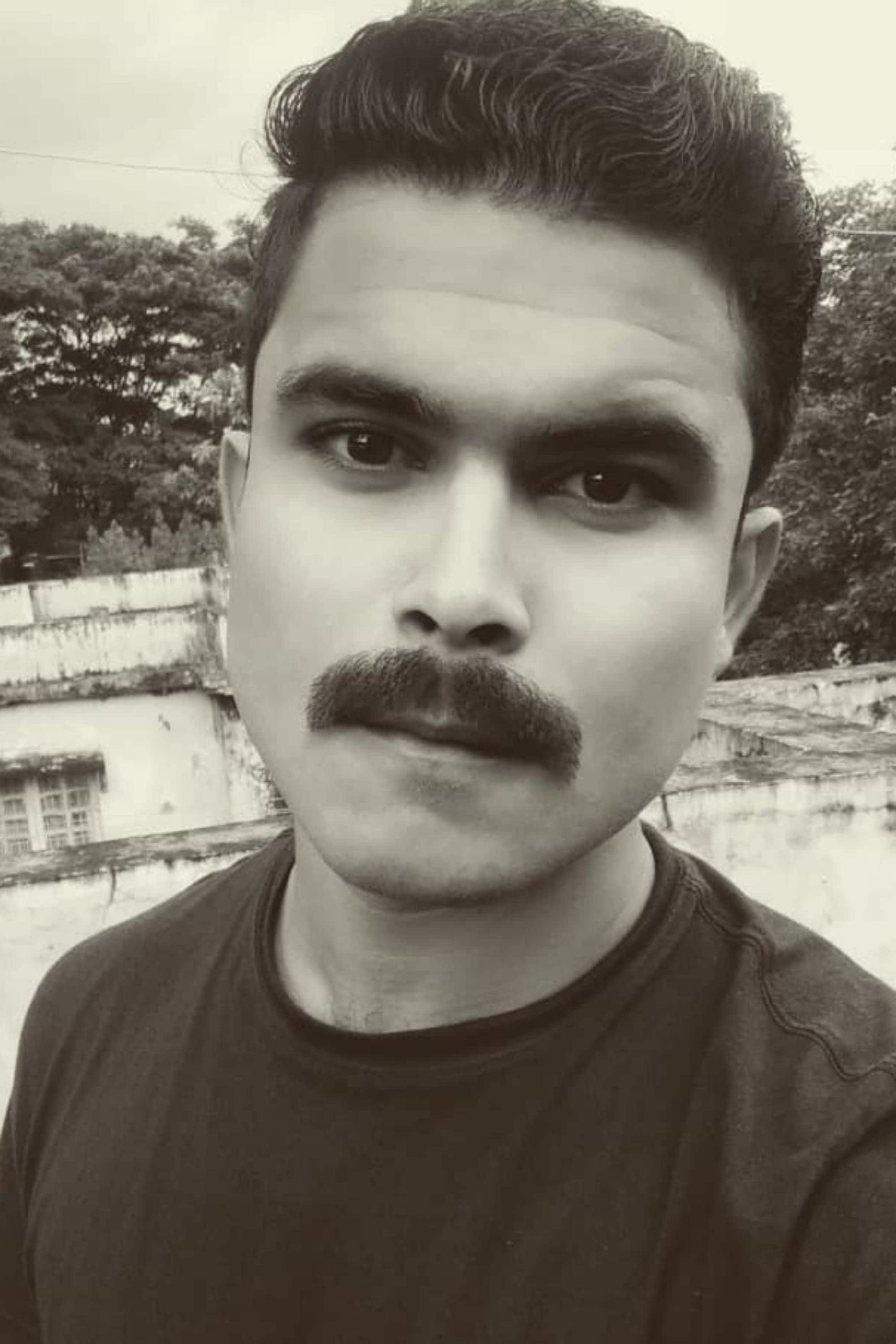 تصویر هنرمند Dipanwit Dashmohapatra