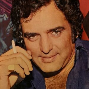 تصویر هنرمند Feroz Khan