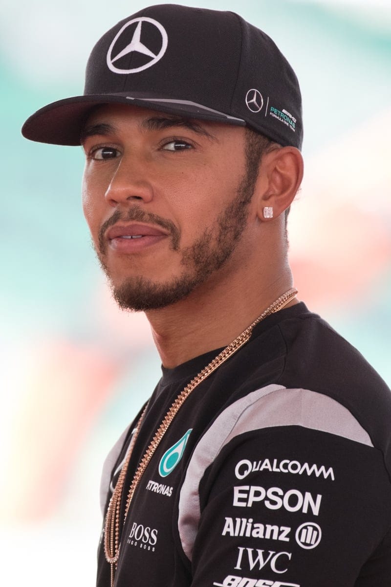تصویر هنرمند Lewis Hamilton
