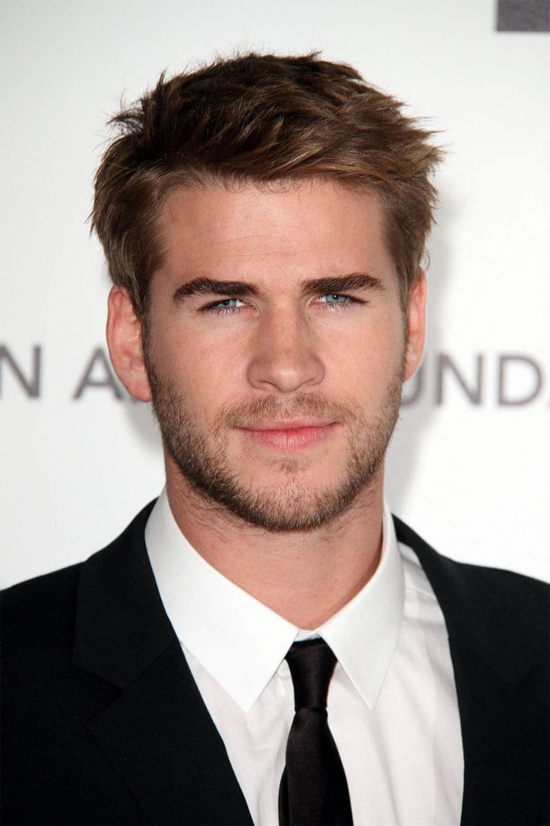 تصویر هنرمند Liam Hemsworth
