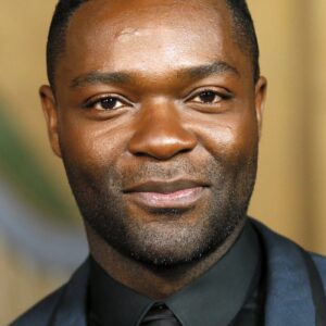 تصویر هنرمند David Oyelowo