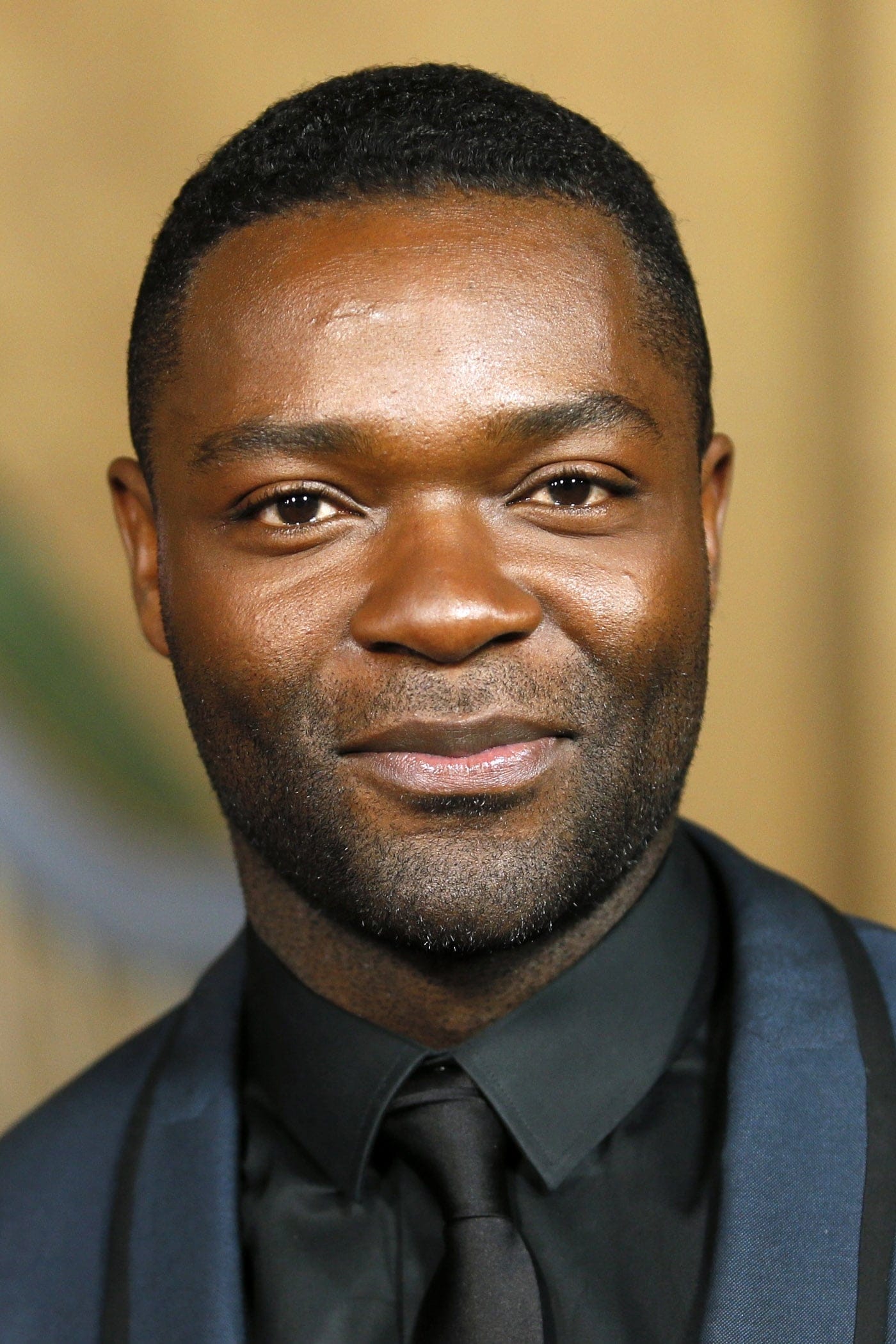 تصویر هنرمند David Oyelowo