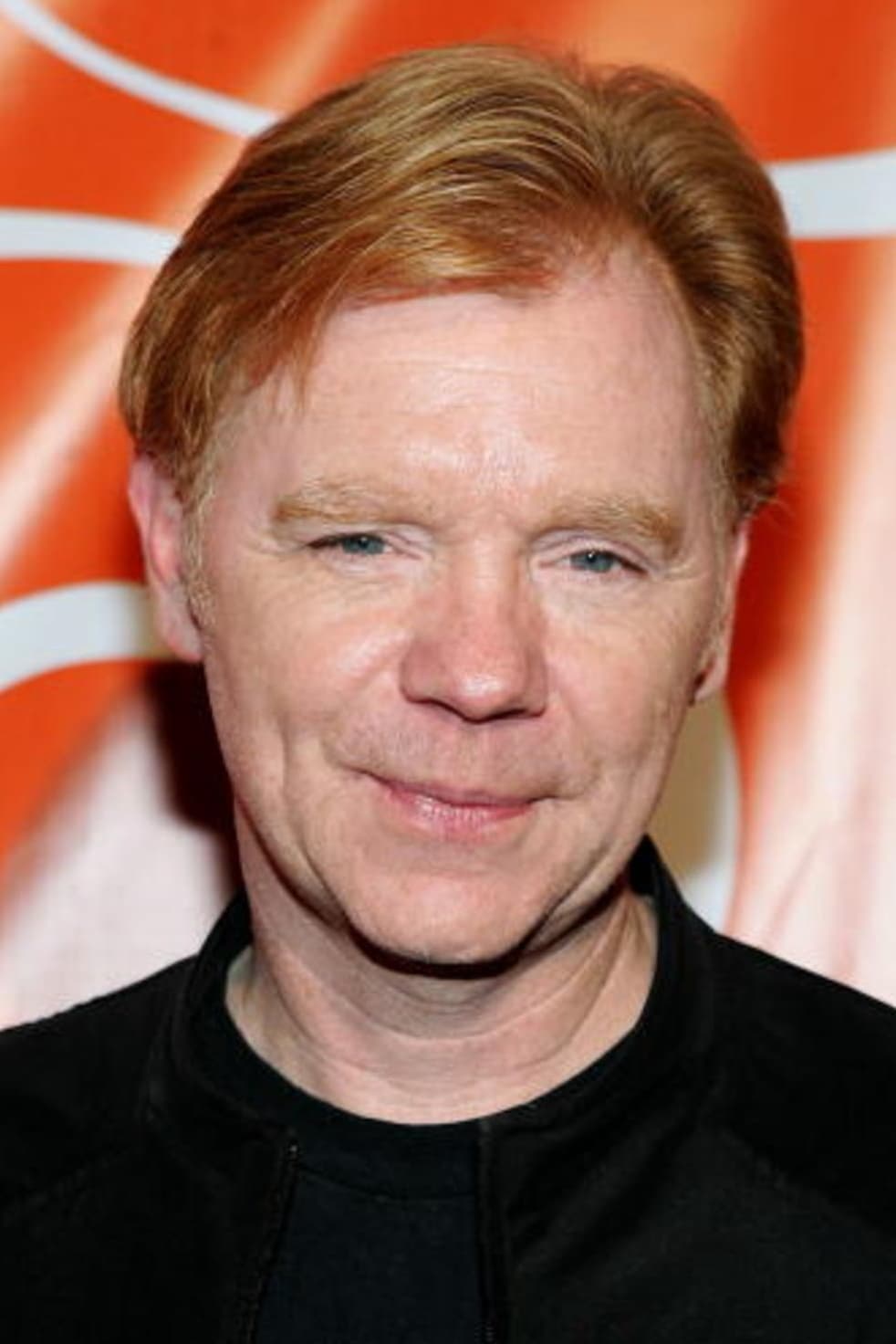 تصویر هنرمند David Caruso