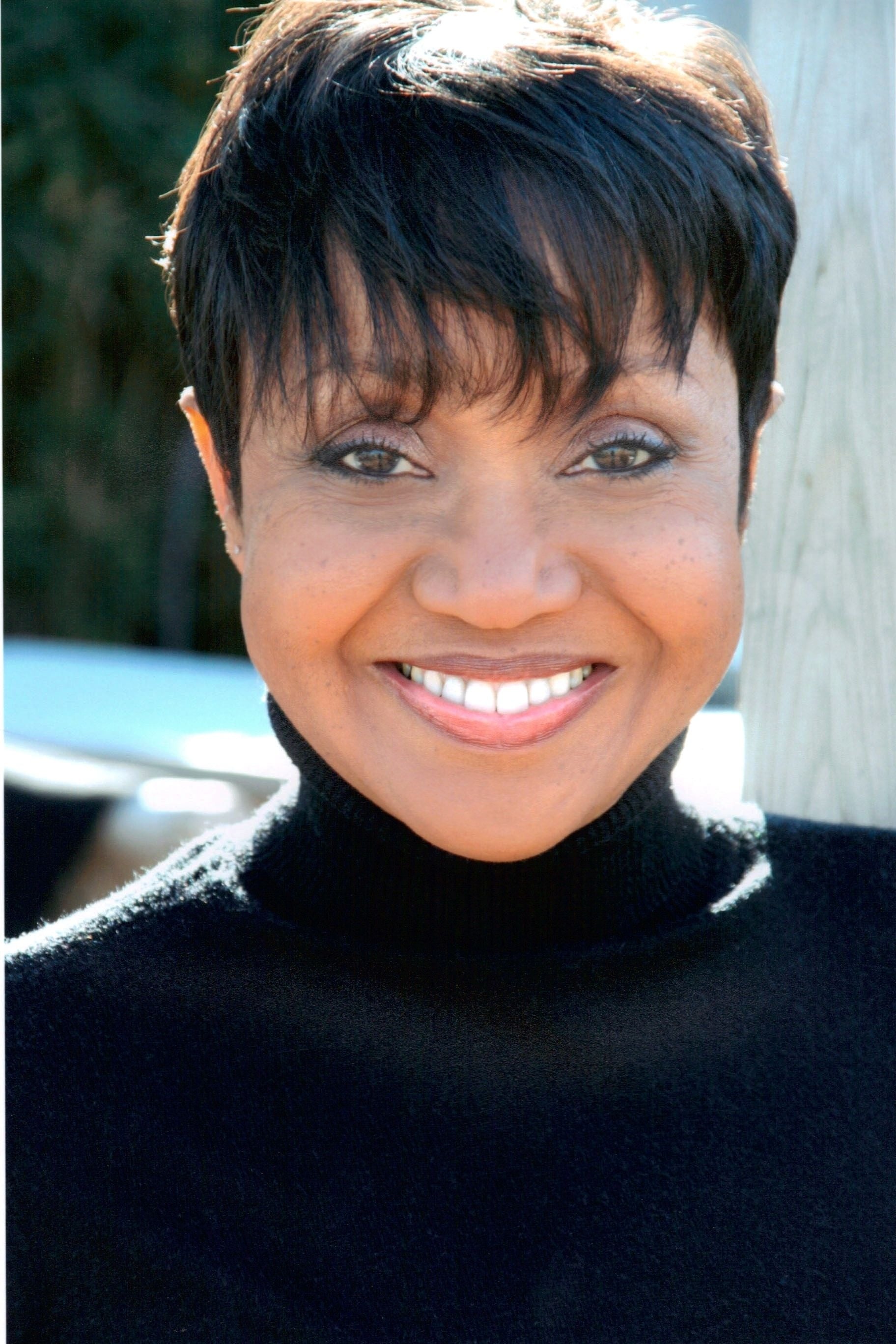 تصویر هنرمند Brenda Pressley
