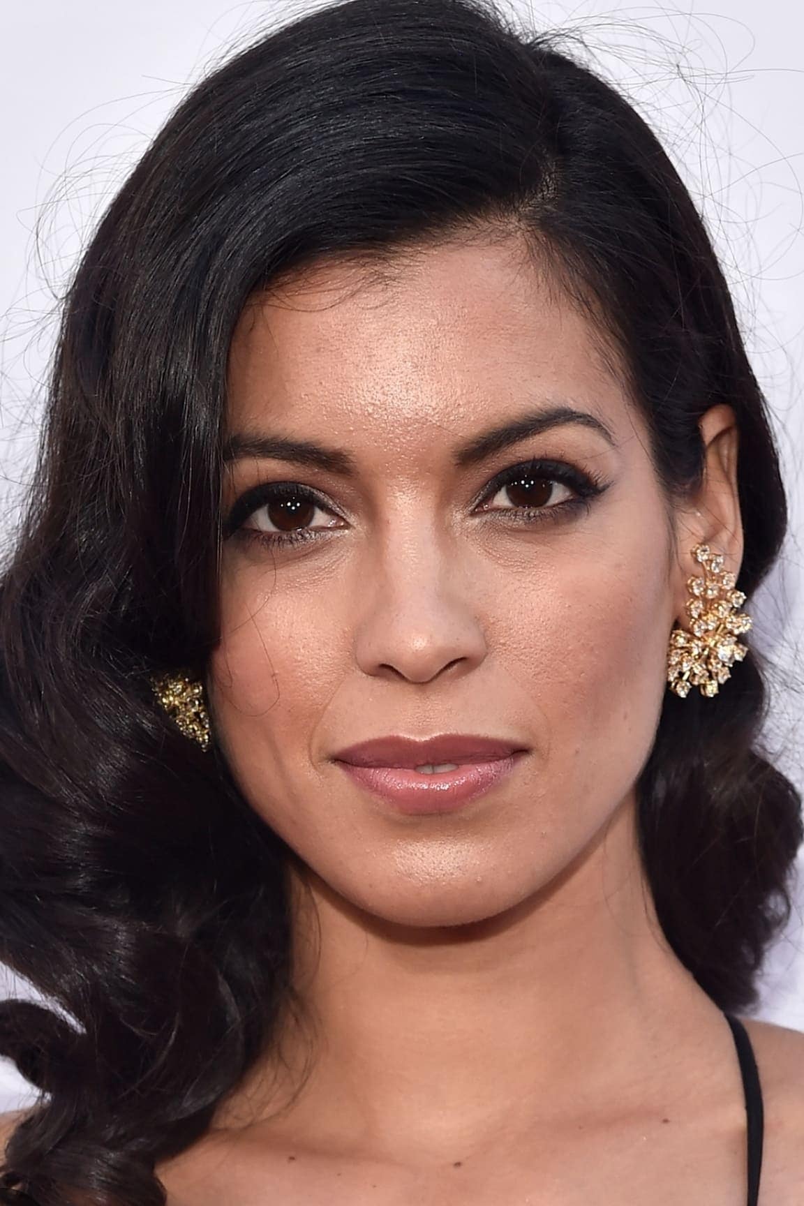 تصویر هنرمند Stephanie Sigman