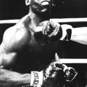 تصویر هنرمند Floyd Anderson