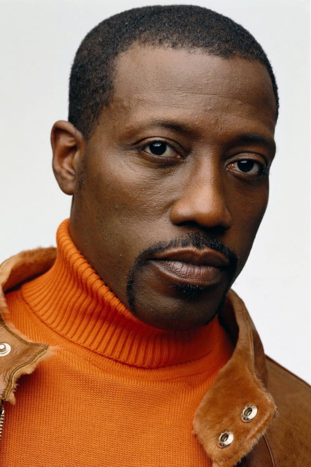 تصویر هنرمند Wesley Snipes