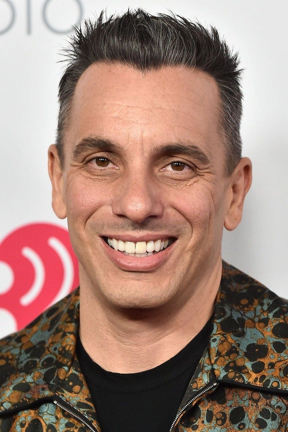 تصویر هنرمند Sebastian Maniscalco