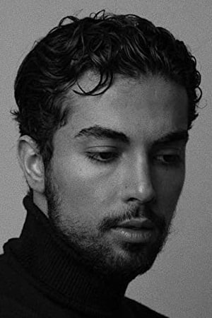 تصویر هنرمند Shervin Alenabi