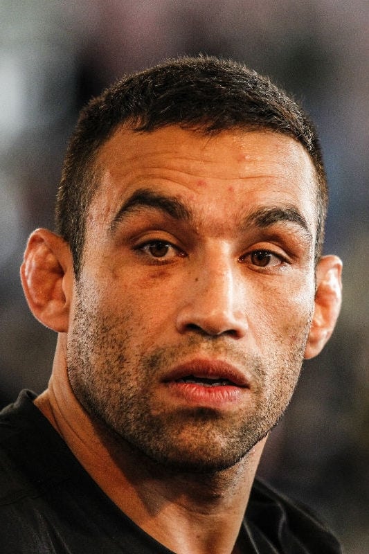تصویر هنرمند Fabrício Werdum