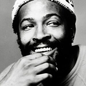 تصویر هنرمند Marvin Gaye