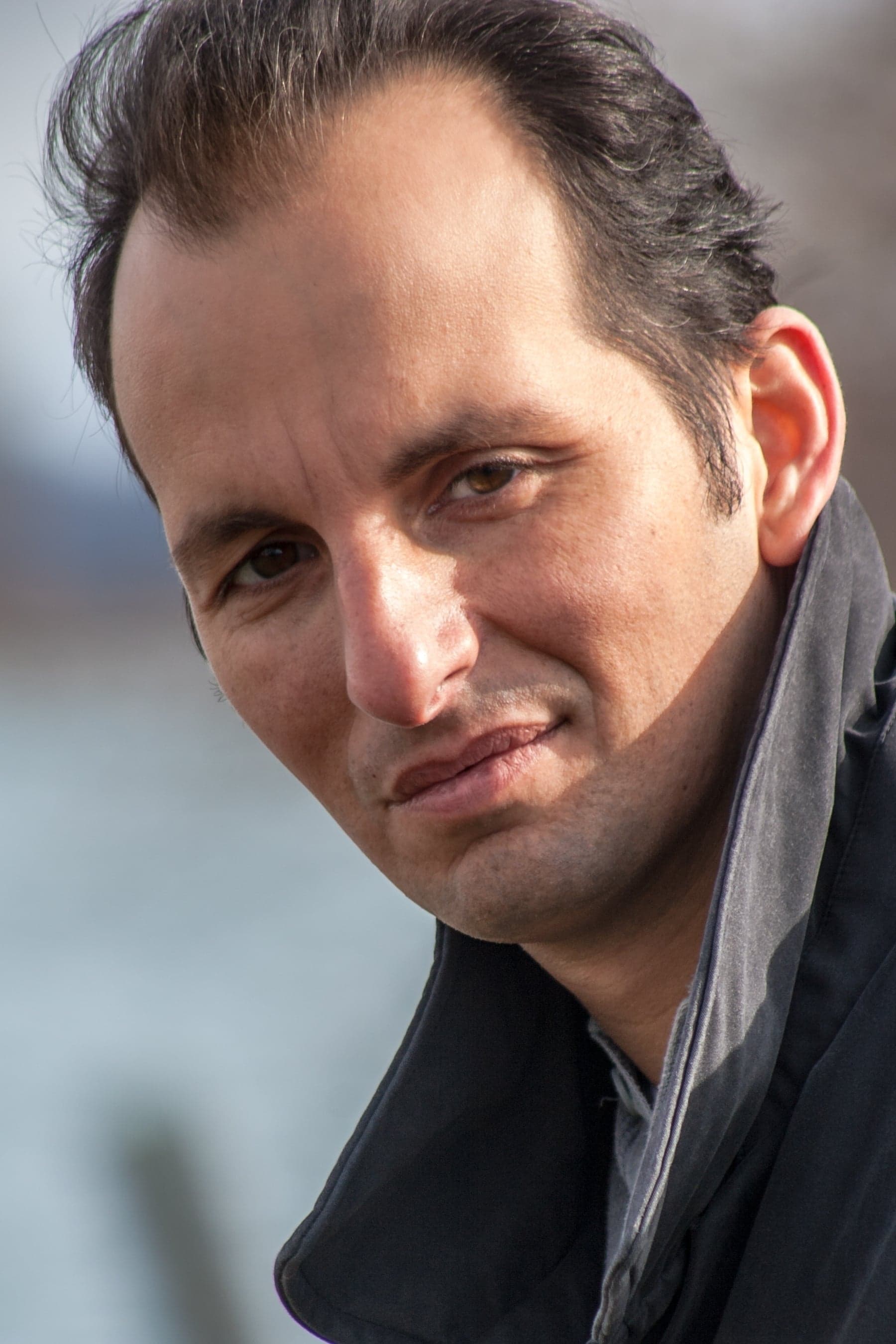 تصویر هنرمند Louis Vanaria