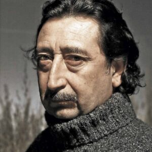 تصویر هنرمند José Soza