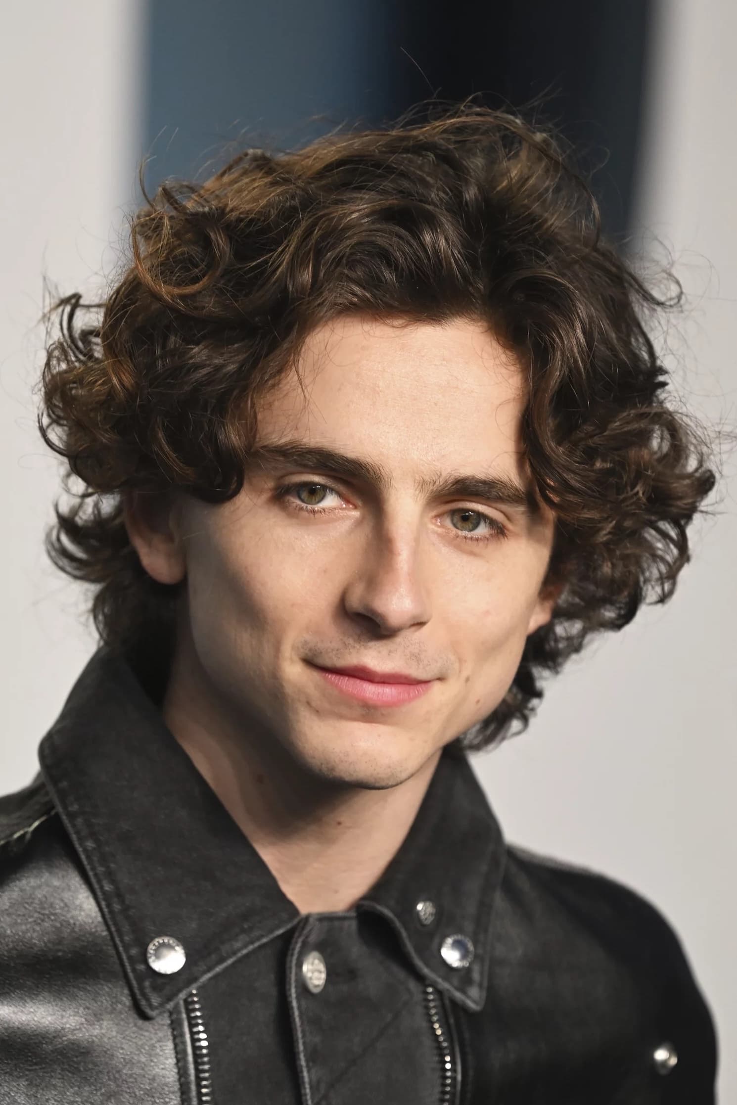timothée chalamet BE2sdjpgsa2rNTFa66f7upkaOP