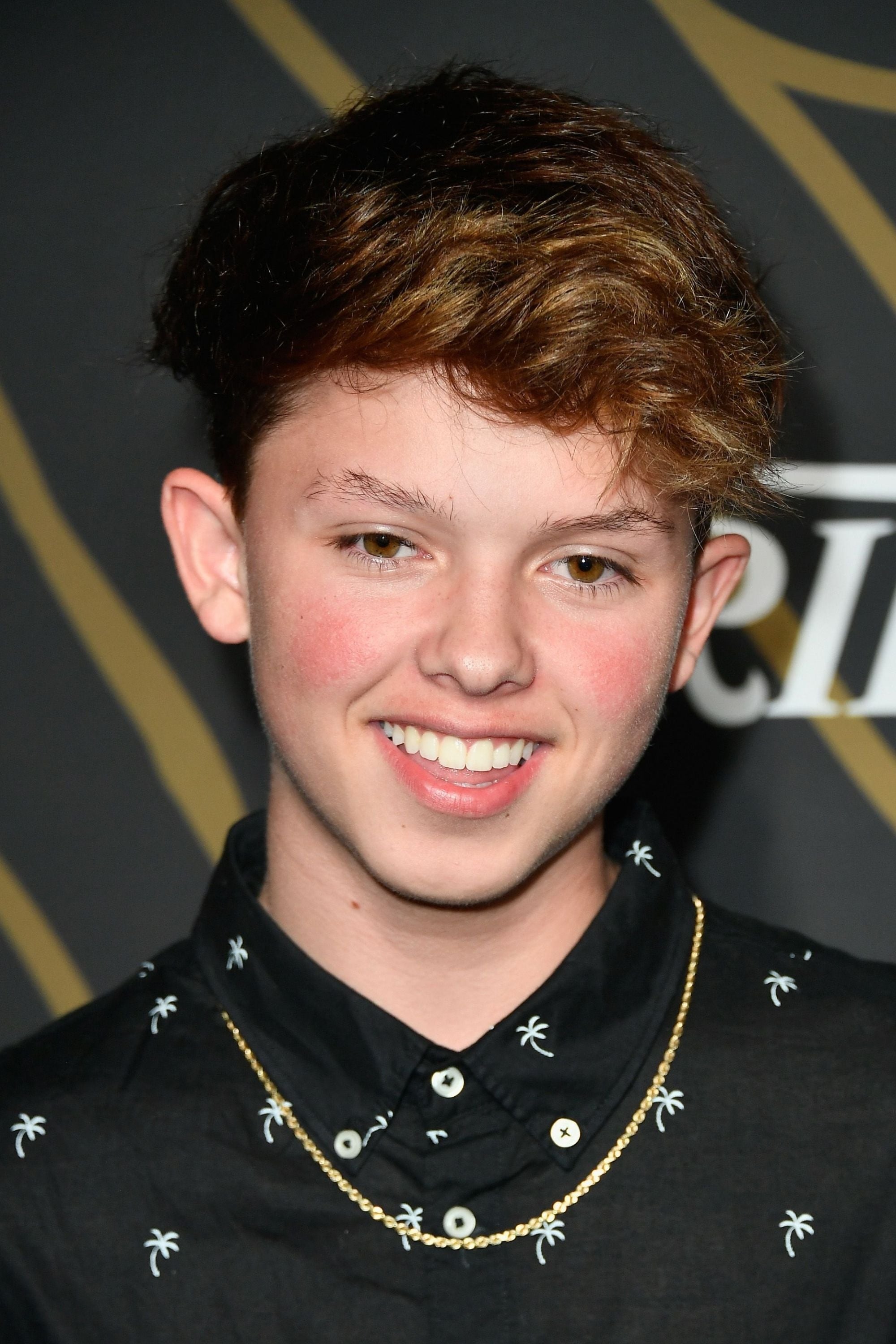 تصویر هنرمند Jacob Sartorius