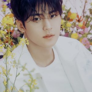 تصویر هنرمند Mingyu