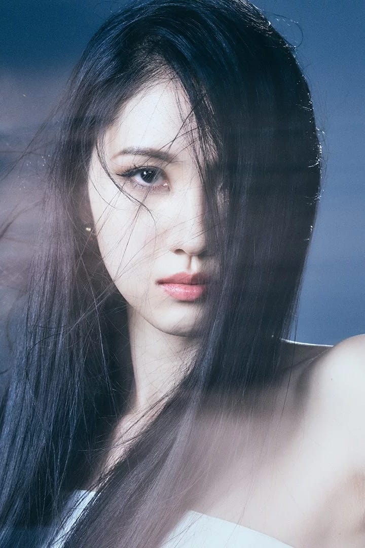 تصویر هنرمند Mayu Maeshima
