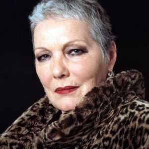 تصویر هنرمند Willeke van Ammelrooy