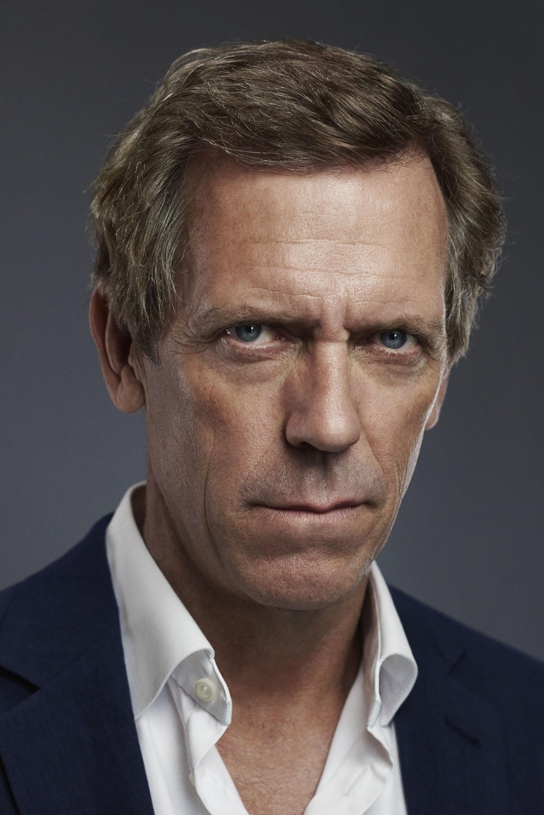 تصویر هنرمند Hugh Laurie