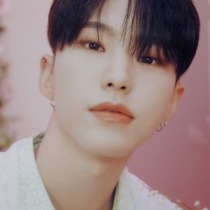 تصویر هنرمند Hoshi