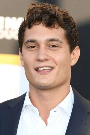 تصویر هنرمند Rafi Gavron