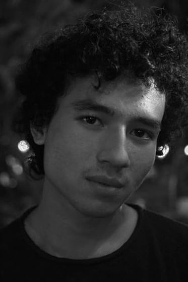 تصویر هنرمند Giulio Parengkuan