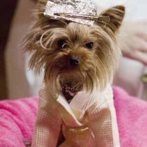 تصویر هنرمند Manly "Little Pickles" Ortega