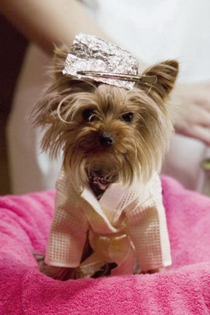 تصویر هنرمند Manly "Little Pickles" Ortega