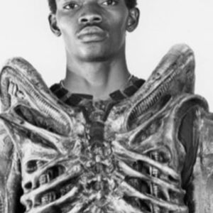 تصویر هنرمند Bolaji Badejo