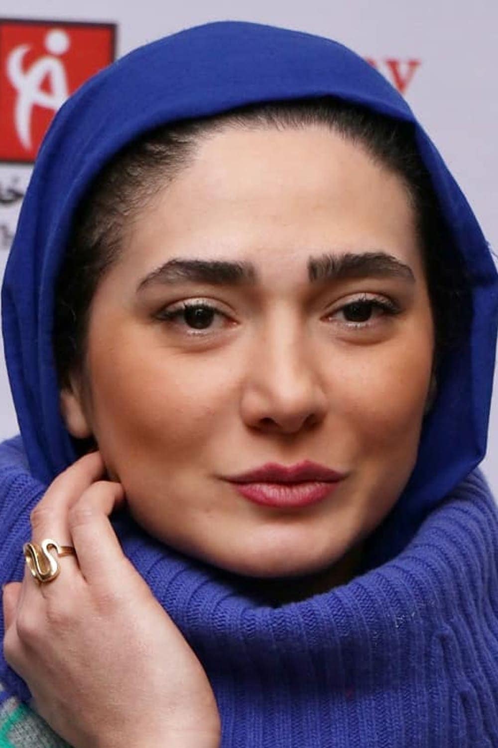 تصویر هنرمند Mina Vahid