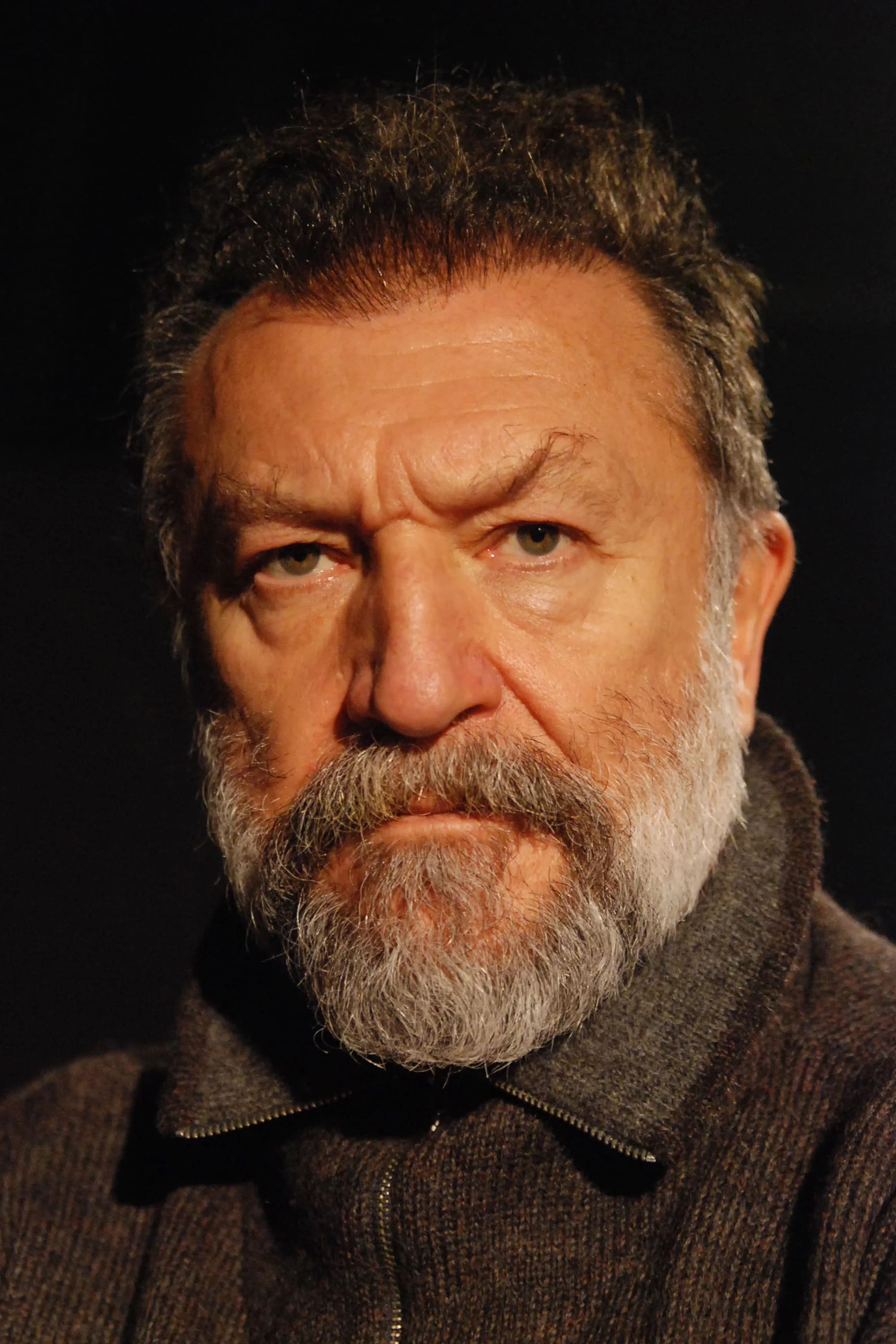 تصویر هنرمند Tamer Levent