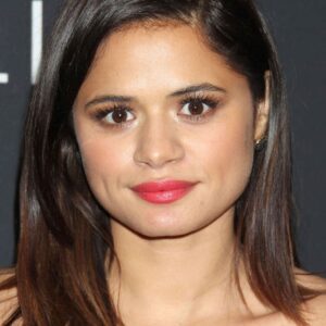 تصویر هنرمند Melonie Diaz