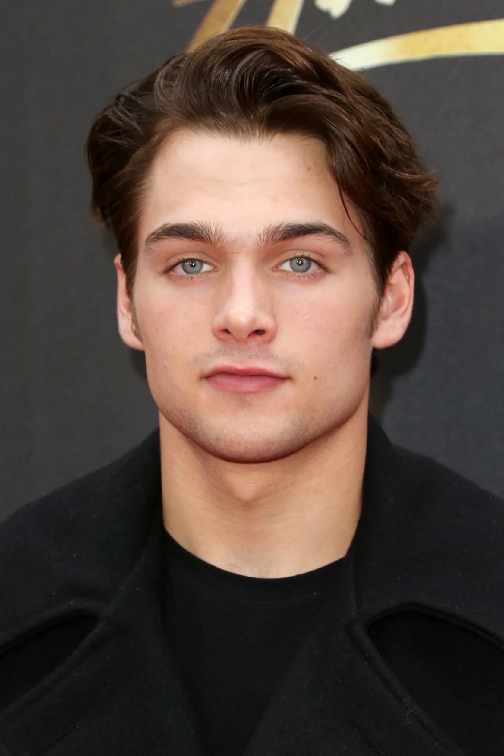 تصویر هنرمند Dylan Sprayberry