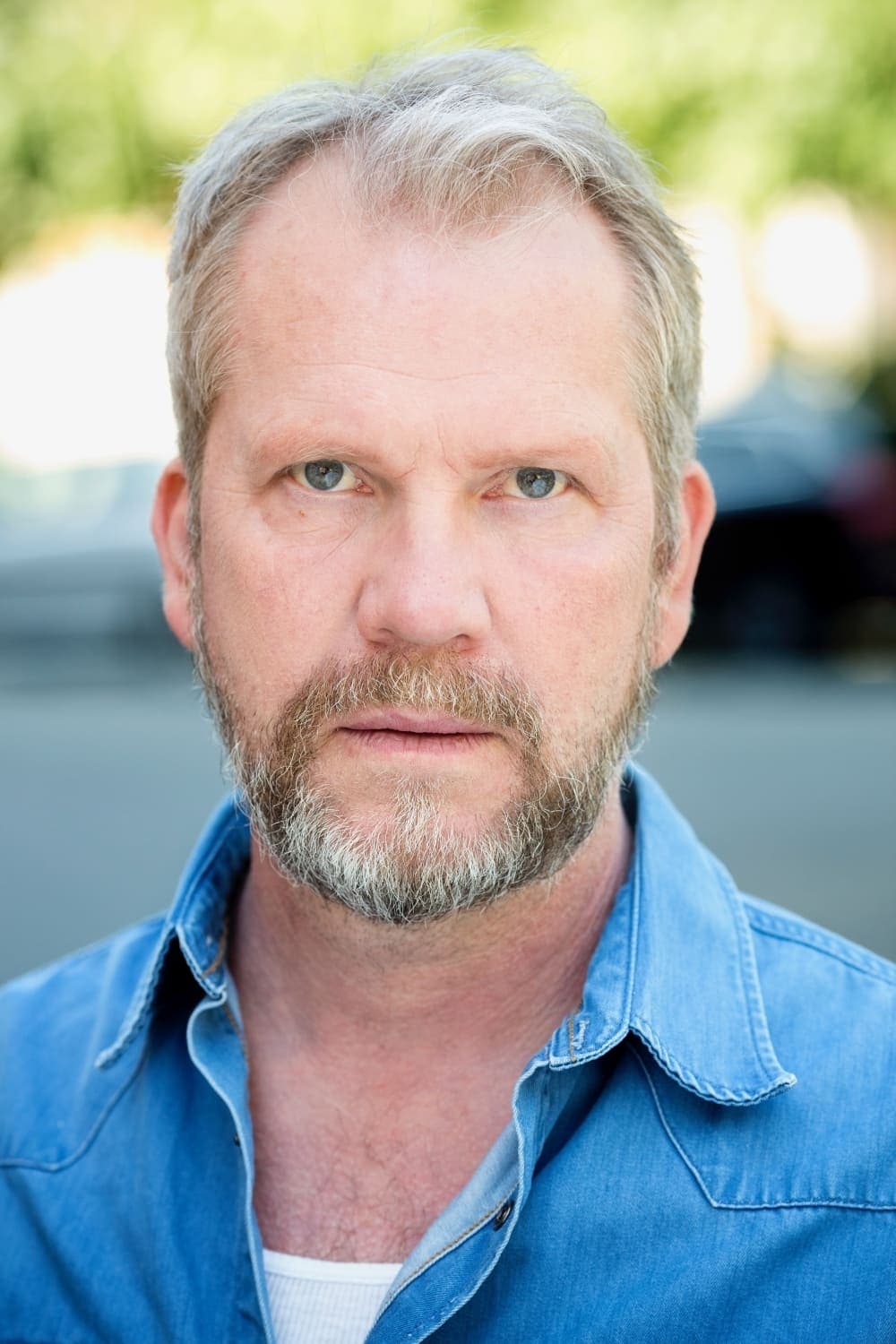 تصویر هنرمند Mats Blomgren