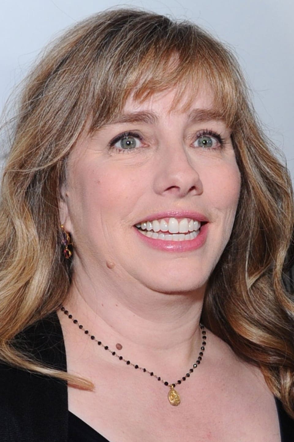تصویر هنرمند Lisa Roberts Gillan