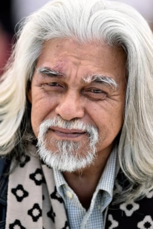 تصویر هنرمند Wan Hanafi Su