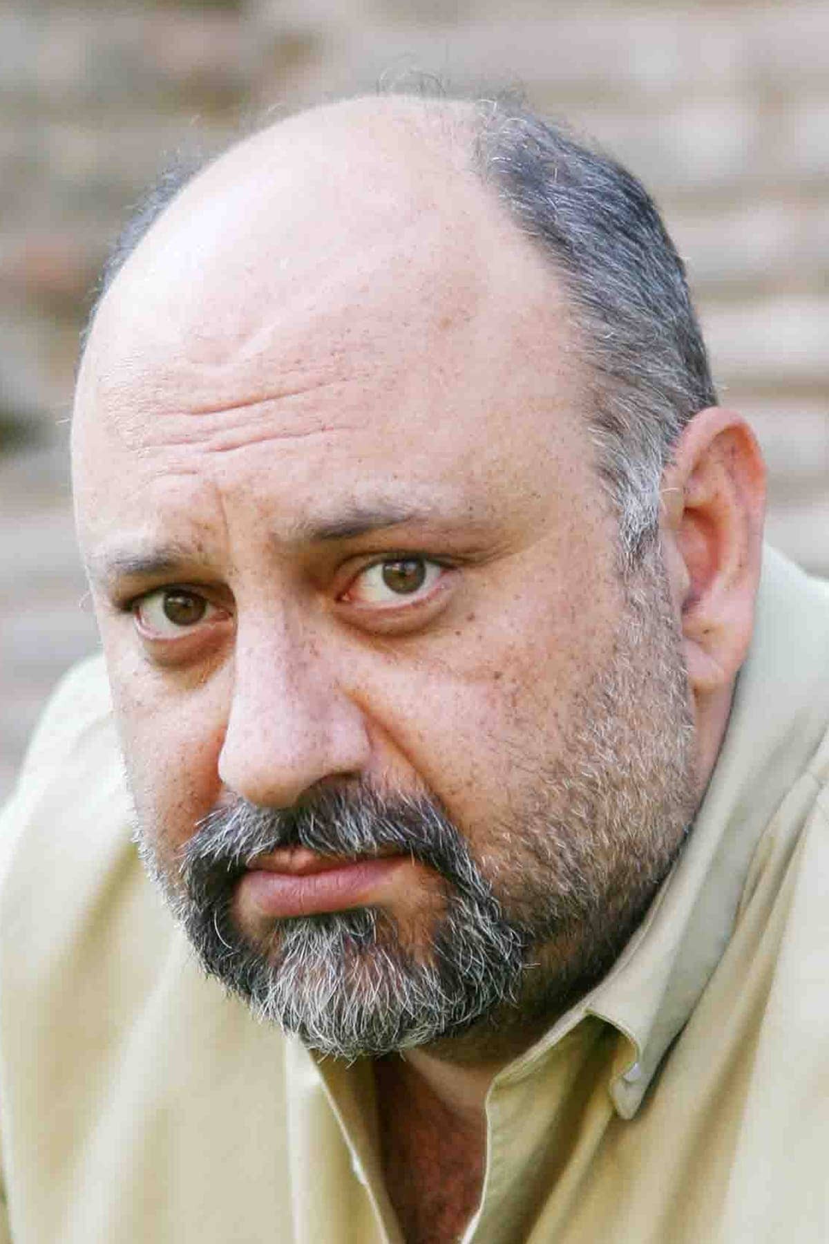 تصویر هنرمند Babak Karimi