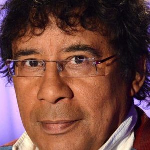 تصویر هنرمند Laurent Voulzy