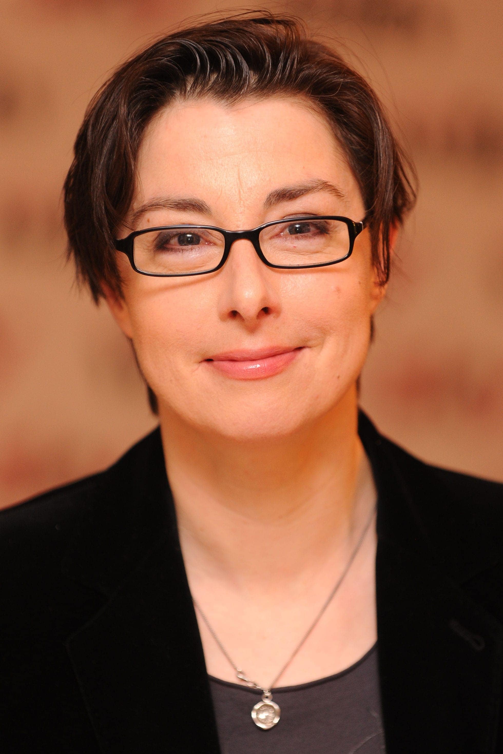 تصویر هنرمند Sue Perkins