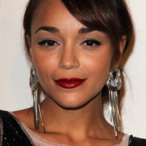 تصویر هنرمند Ashley Madekwe