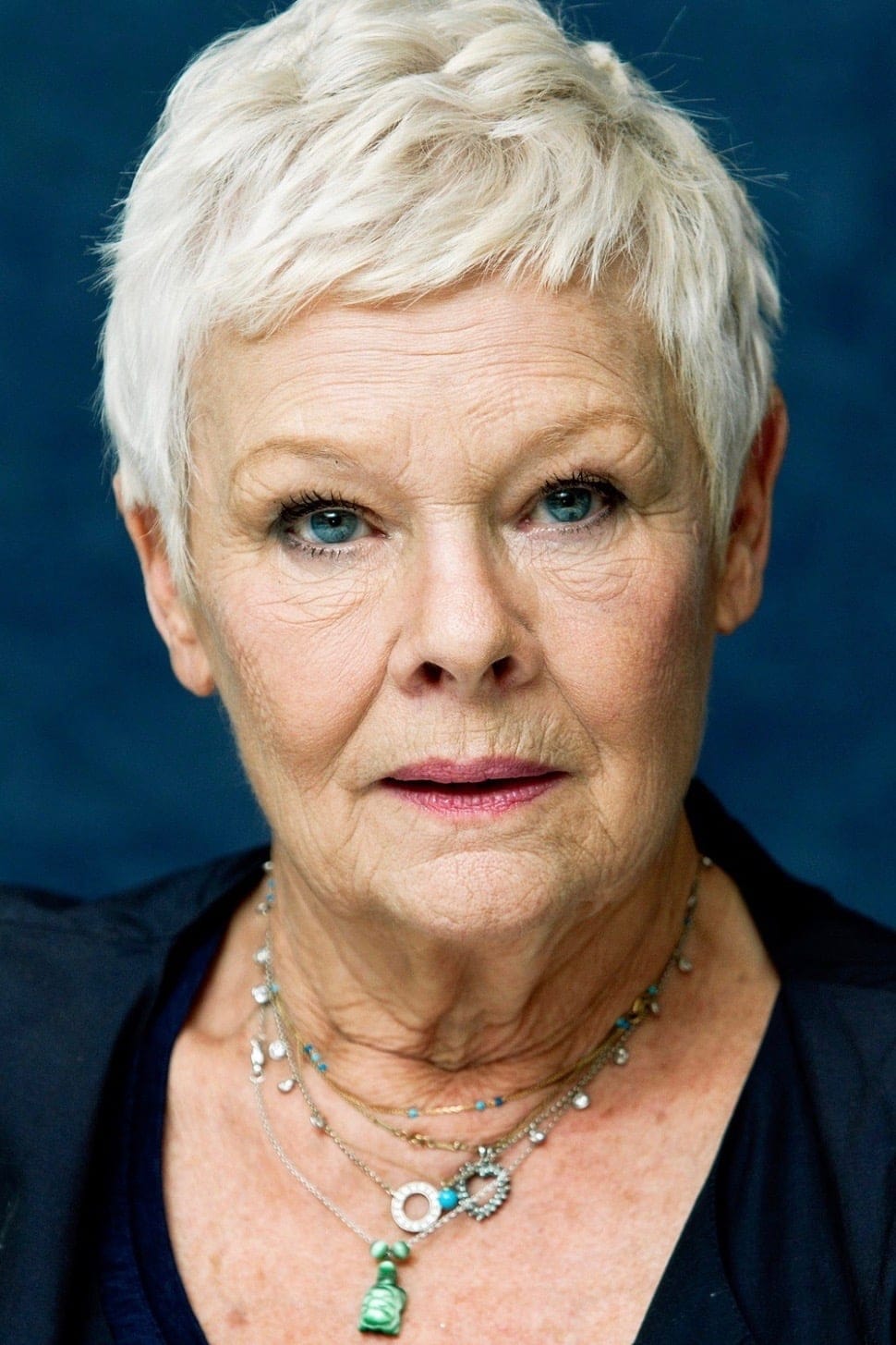 تصویر هنرمند Judi Dench