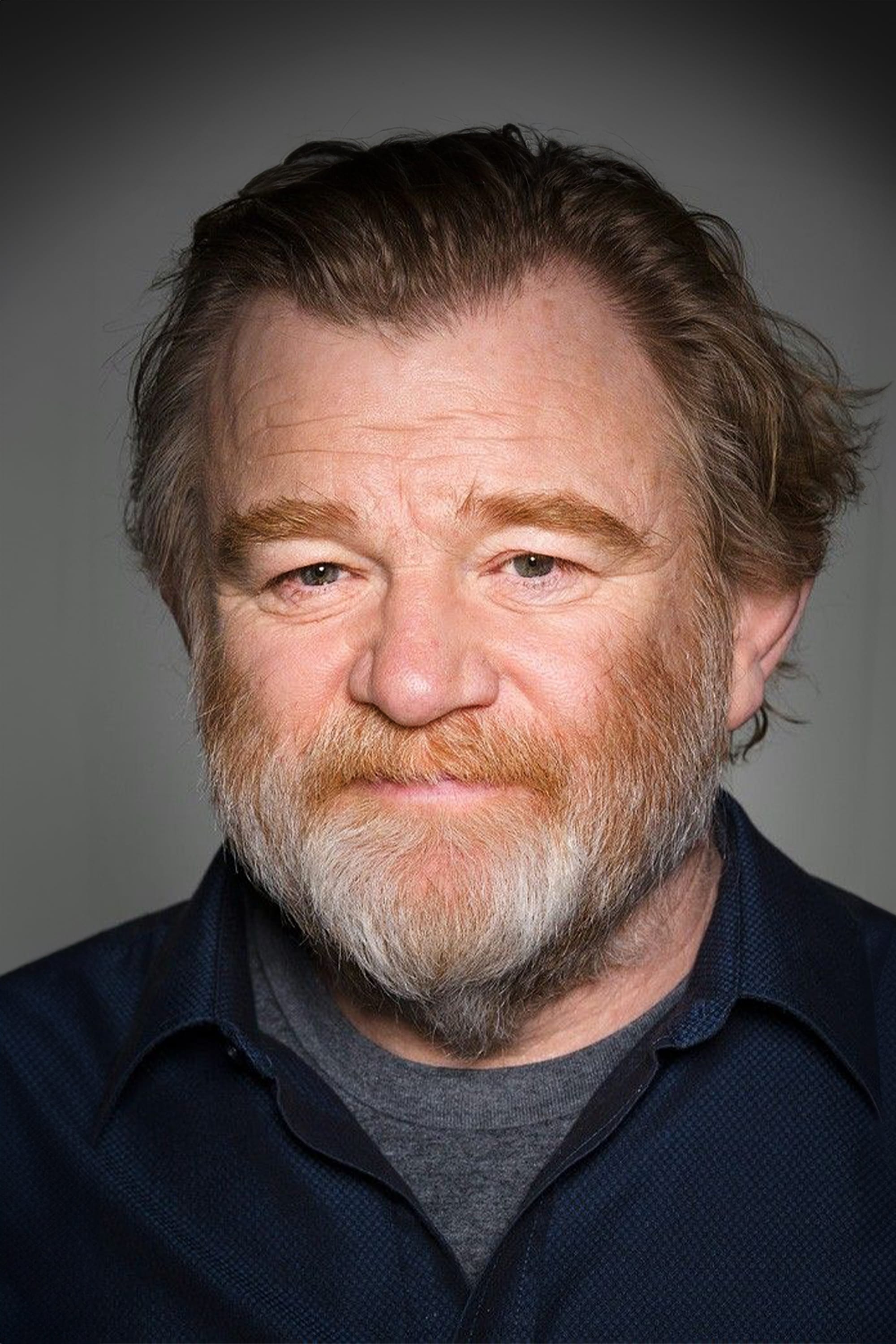 تصویر هنرمند Brendan Gleeson