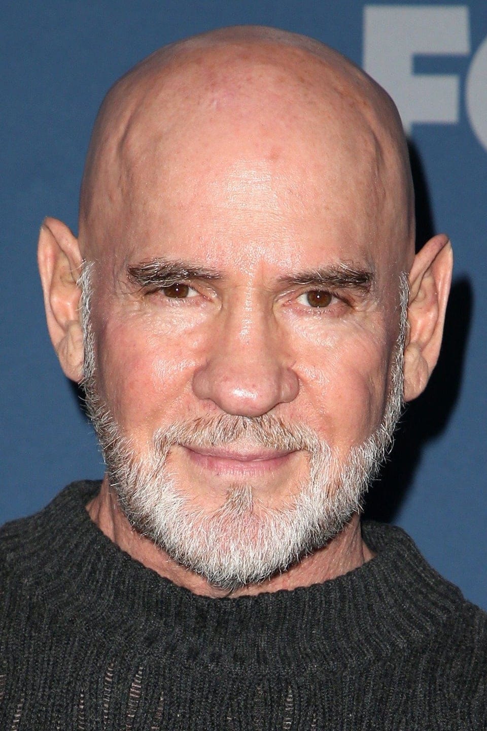 تصویر هنرمند Mitch Pileggi