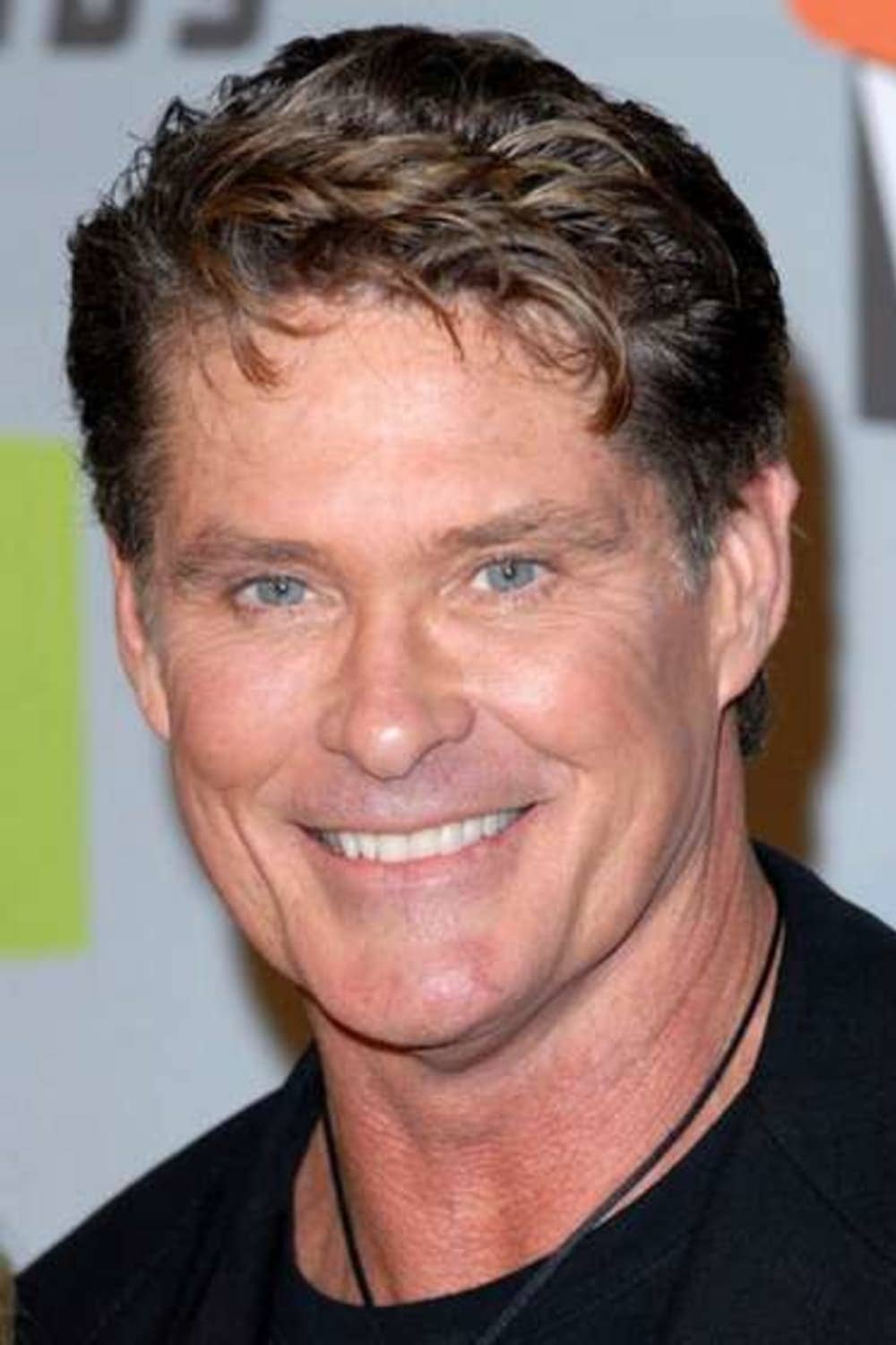 تصویر هنرمند David Hasselhoff