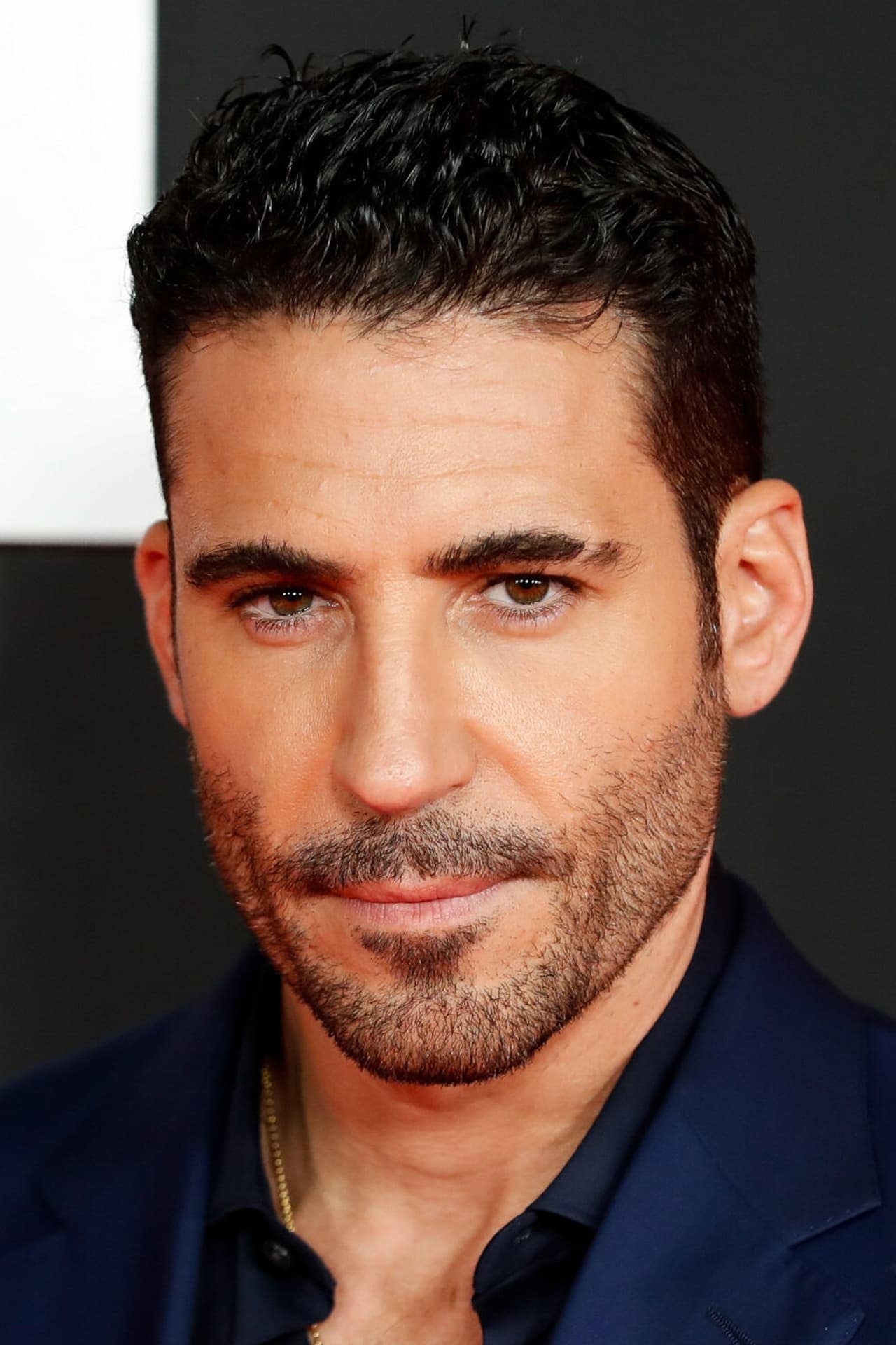 تصویر هنرمند Miguel Ángel Silvestre
